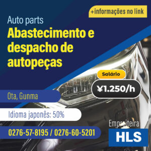 Abastecimento e despacho de autopeças (VAGAL221221HLS)