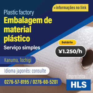 Embalagem de material plástico (VAGAB221221HLS)