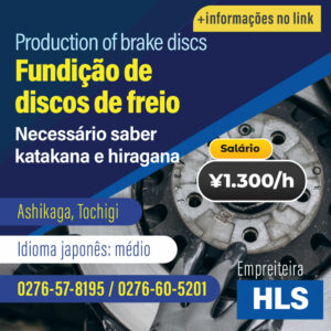Fundição de discos de freio (VAGAC221221HLS)