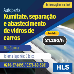 Montagem e abastecimento de autopeças (VAGAB231221HLS)