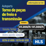 Torno de peças de freio e transmissão (VAGAE221221HLS)